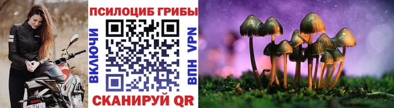 Купить  Буинск  Псилоцибиновые грибы прущие грибы 